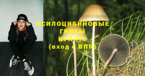 ешки Кущёвская