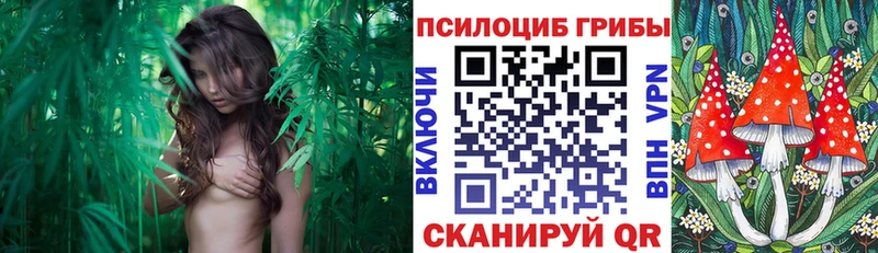 Галлюциногенные грибы прущие грибы Приозерск